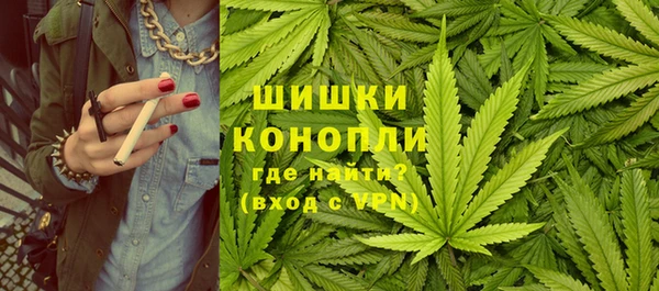 ГАЛЛЮЦИНОГЕННЫЕ ГРИБЫ Аркадак