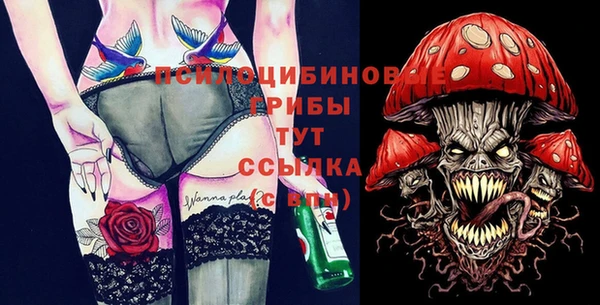 гидра Армянск