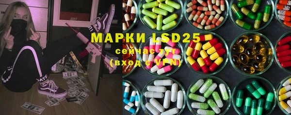 ГАЛЛЮЦИНОГЕННЫЕ ГРИБЫ Аркадак