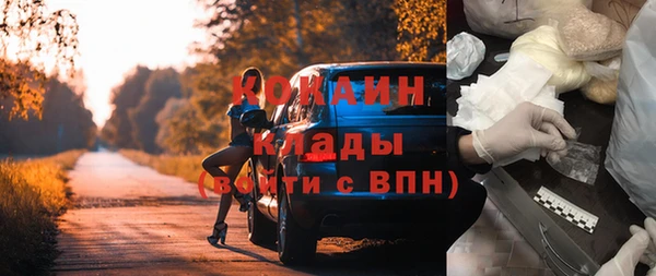 ГАЛЛЮЦИНОГЕННЫЕ ГРИБЫ Аркадак