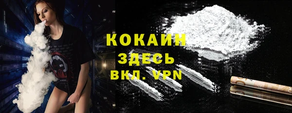 ГАЛЛЮЦИНОГЕННЫЕ ГРИБЫ Аркадак